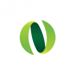 N字母图标设计