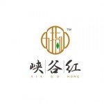 五指山峡谷红茶叶标志