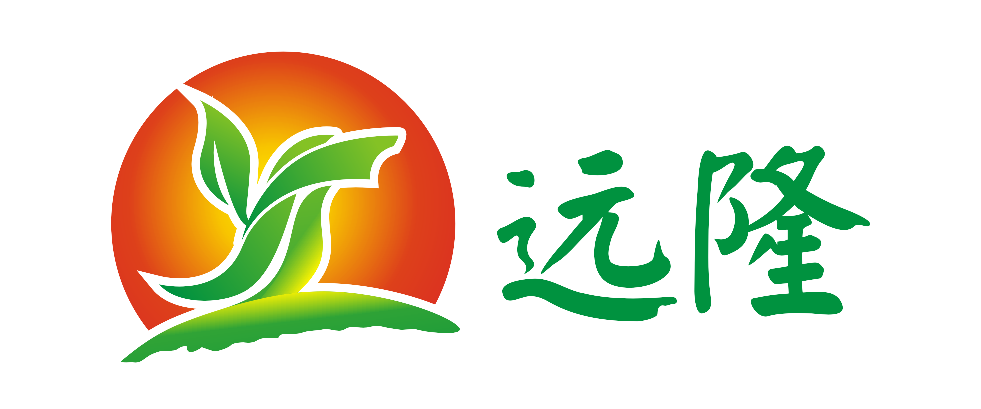 合肥远隆包装logo设计欣赏