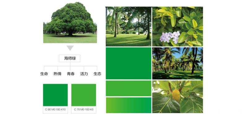 海南师范大学校徽来路及其含义