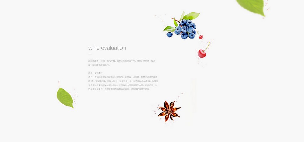 班柯葡萄酒BURDINALE标志设计